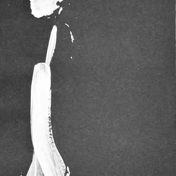 Kırmızı çatı - 4
