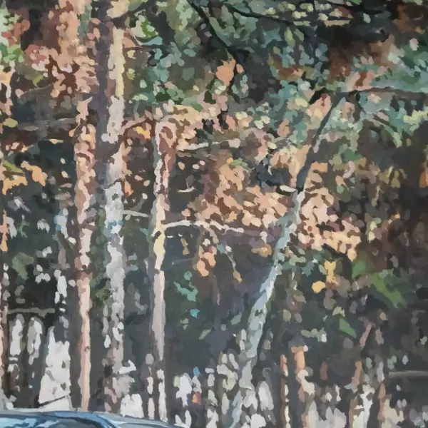 Chevrolet Camaro - 5