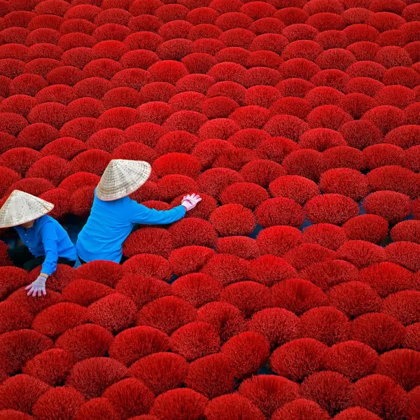 Tütsü Kurutma, Vietnam